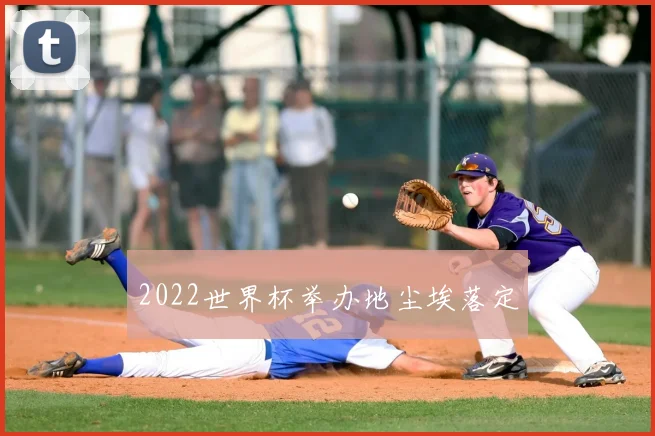 2022世界杯举办地尘埃落定