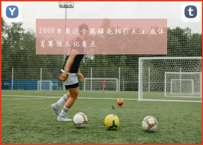 2008年奥运会熊猫亮相引关注 成体育赛场文化看点