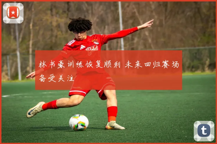 林书豪训练恢复顺利 未来回归赛场备受关注