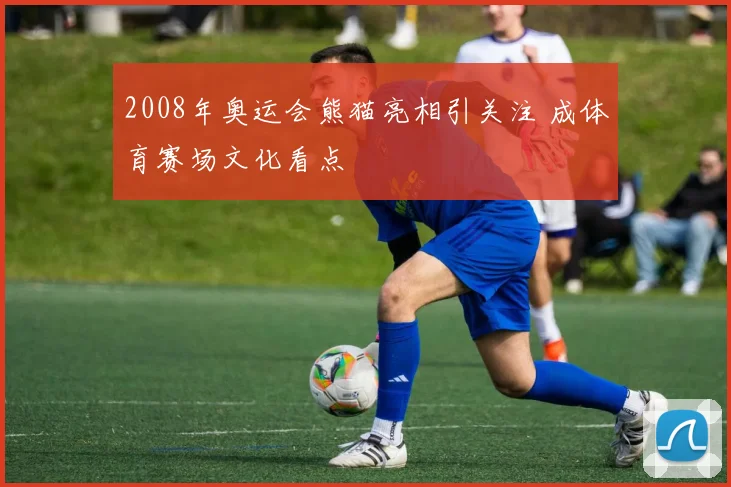 2008年奥运会熊猫亮相引关注 成体育赛场文化看点