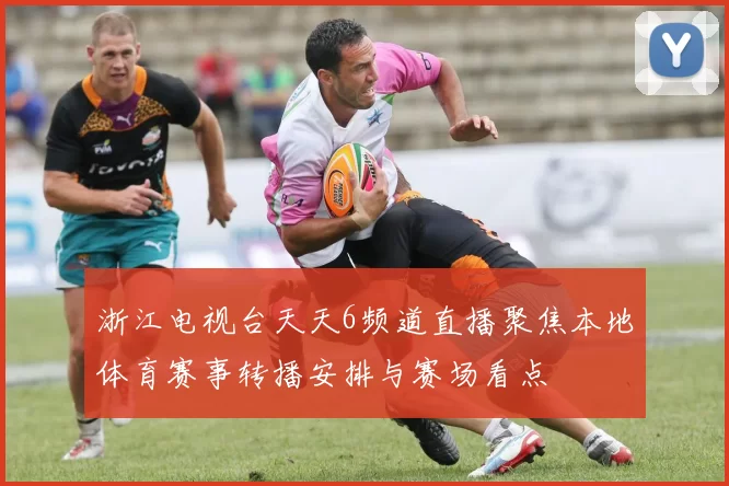 浙江电视台天天6频道直播聚焦本地体育赛事转播安排与赛场看点